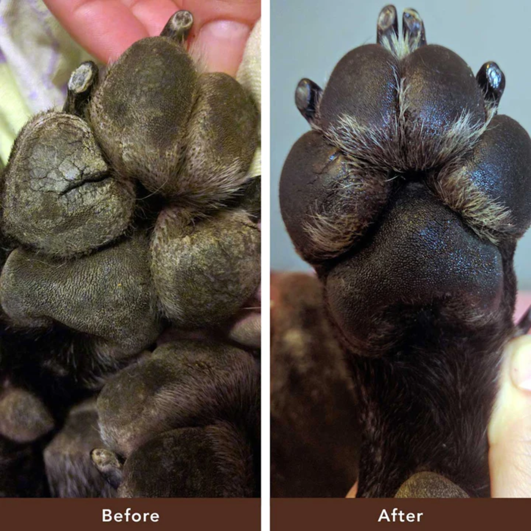 Before: Cracked Paws. After: Smooth, healed paws.