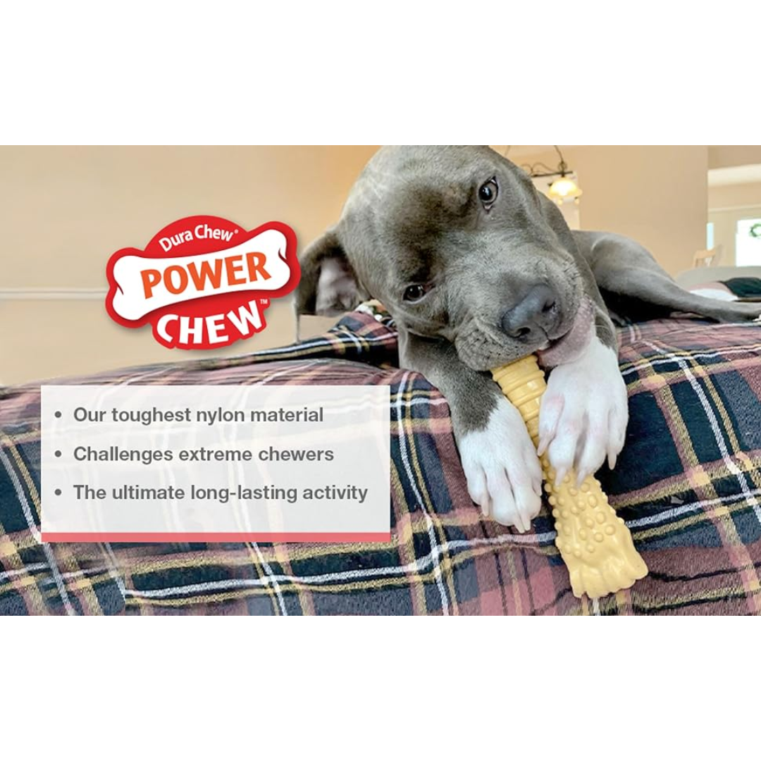 Nylabone Dura Chew Souper