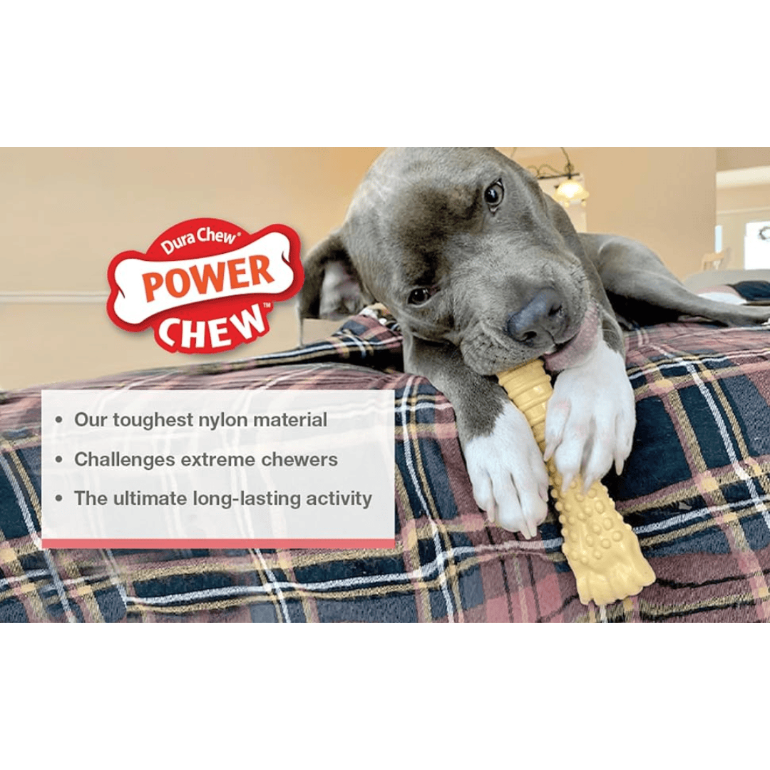 Nylabone Dura Chew Souper
