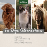 For dogs, cats and horses.