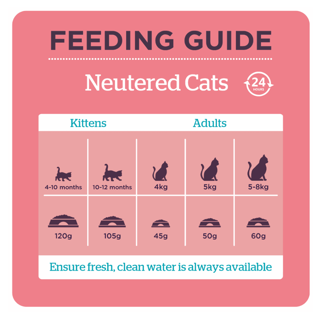 The feeding guidelines for the Burgess Neutered Cat Food.