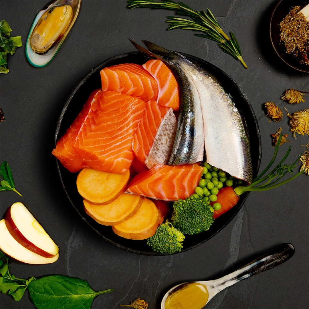 The fresh ingredients of the Canagan Salmon and Herring Supper Wet Food 400g shown in a bowl. There are other functional additions placed around the bowl including green lipped mussels.