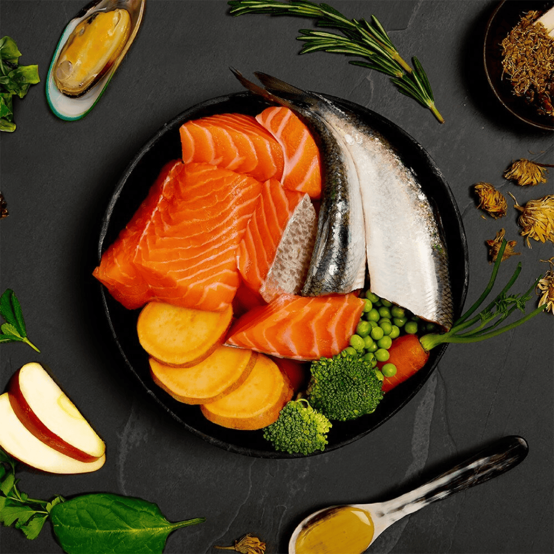 The fresh ingredients of the Canagan Salmon and Herring Supper Wet Food 400g shown in a bowl. There are other functional additions placed around the bowl including green lipped mussels.