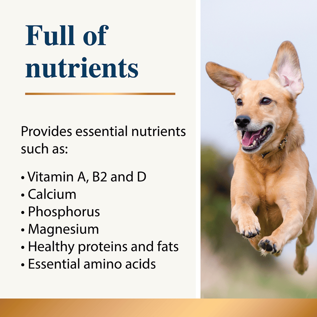 Karnlea Goat Milk Powder for Dogs and Cats