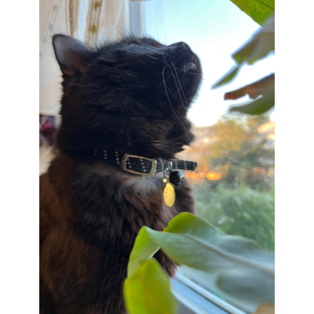 Ancol Softweave Reflective Cat Collar