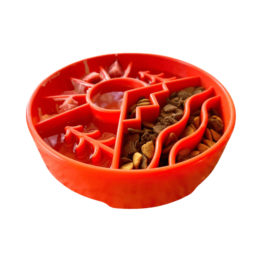 Sodapup Great Outdoors Slow Feeding Bowl in orange with an aray of foods and liquids in each compartment.