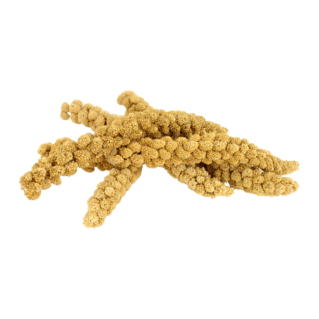 Vitakraft Yellow Foxtail Millet Spray