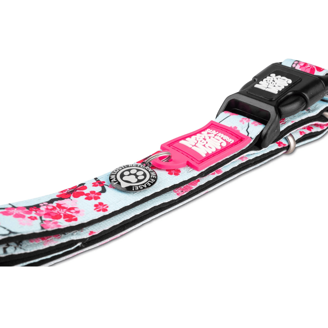 Max & Molly Cherry Blossom Smart ID Dog Collar