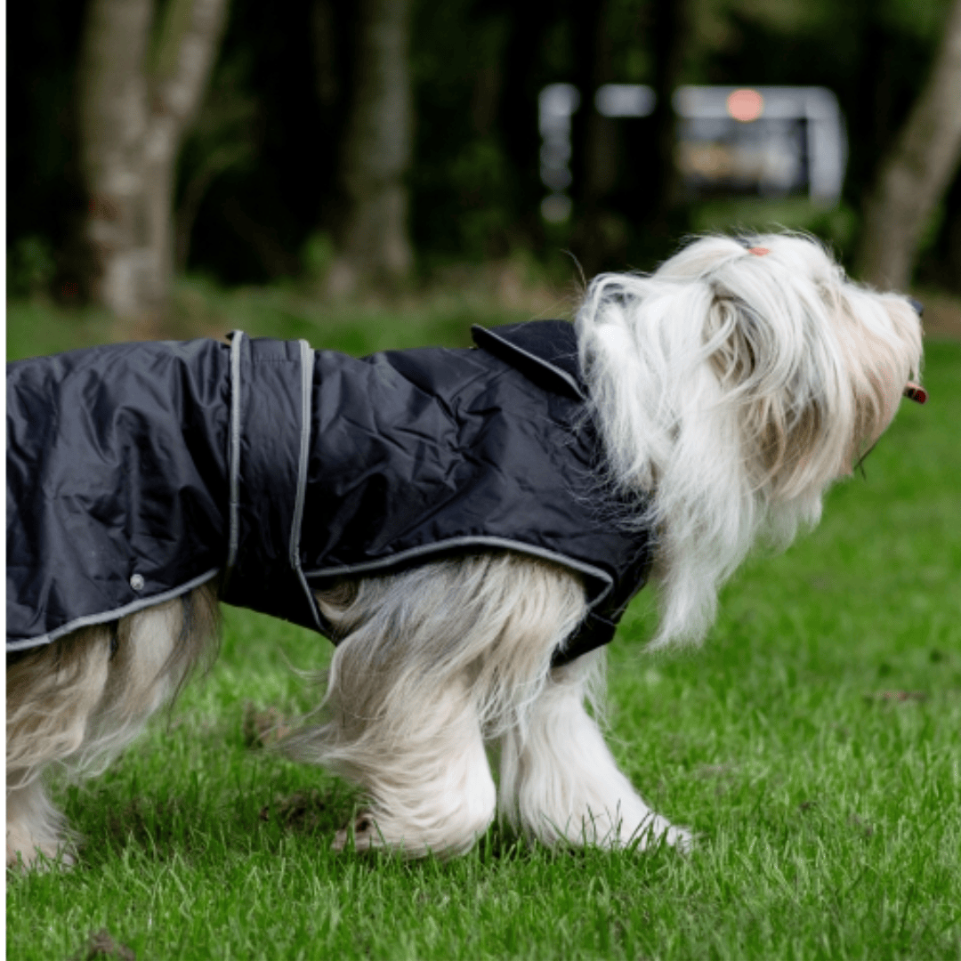 Ancol Stormguard Black Dog Coat