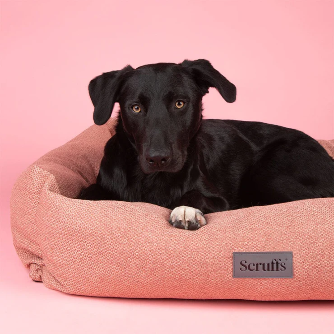 Black dog laying in a Scruffs Seattle box bed.
