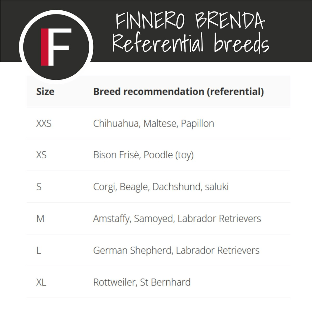 Finnero Brenda Female Dog Heat & Hygiene Pants Dark Grey