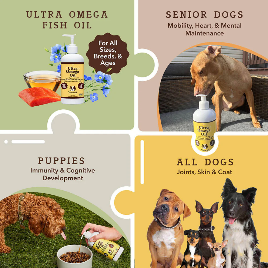 An infographic showing this Natural Dog Company Ultra Omega Oilis suitable for all ages