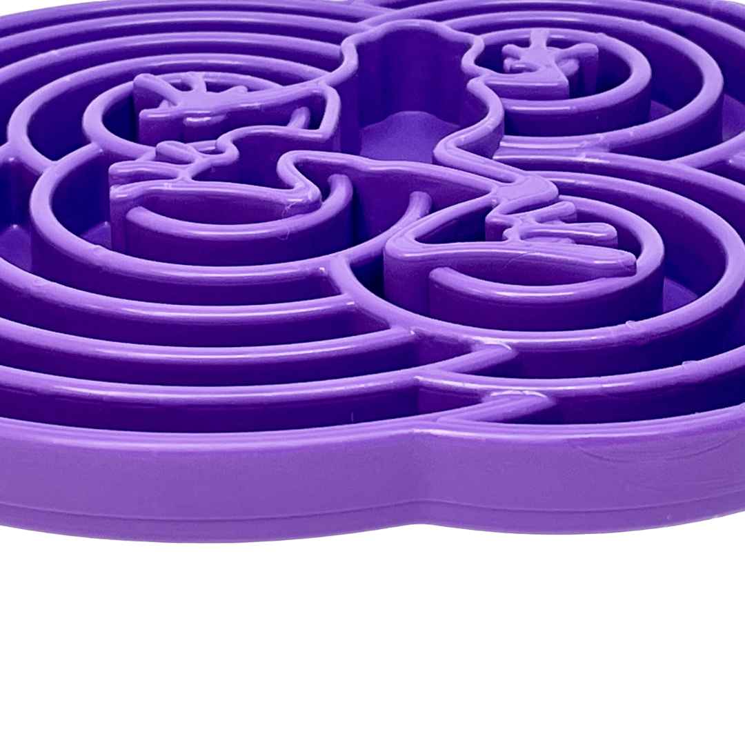 Close up of the Water Frog Enrichment Plate