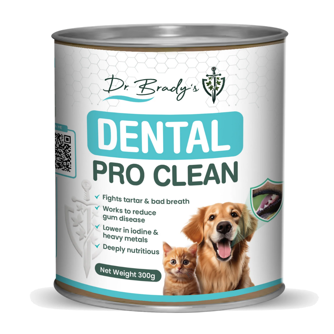 Doctor Brady's Dental Pro Clean 300g against a white background