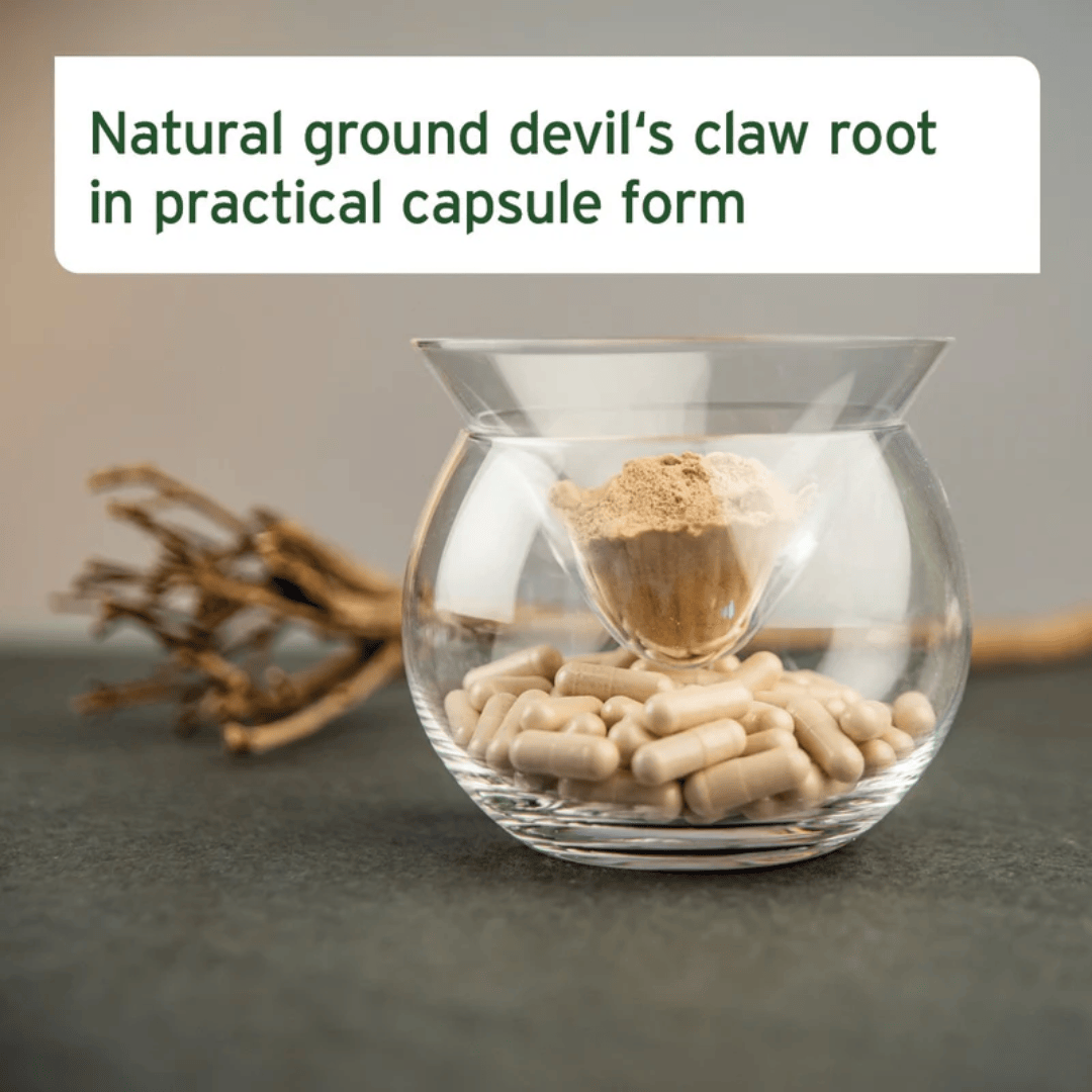 A photograph of the Devil's Claw Capsules by Aniforte in a bowl. There is also the powder form of the root. This powder is what is inside the capsules.