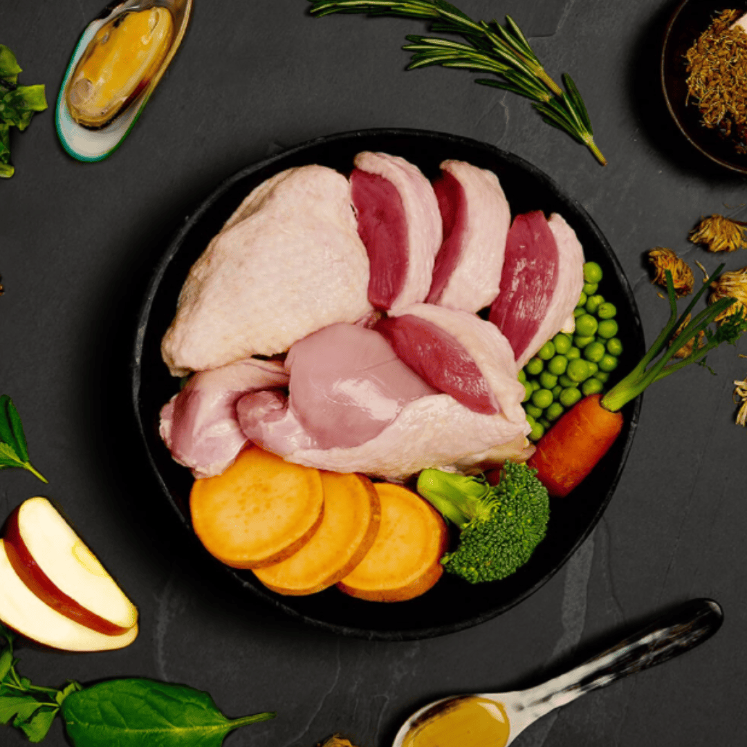 The fresh ingredients of the Canagan Turkey with Duck Dinner Wet Food 400g in a bowl. There are other functional additions placed around the bowl including green lipped mussels.