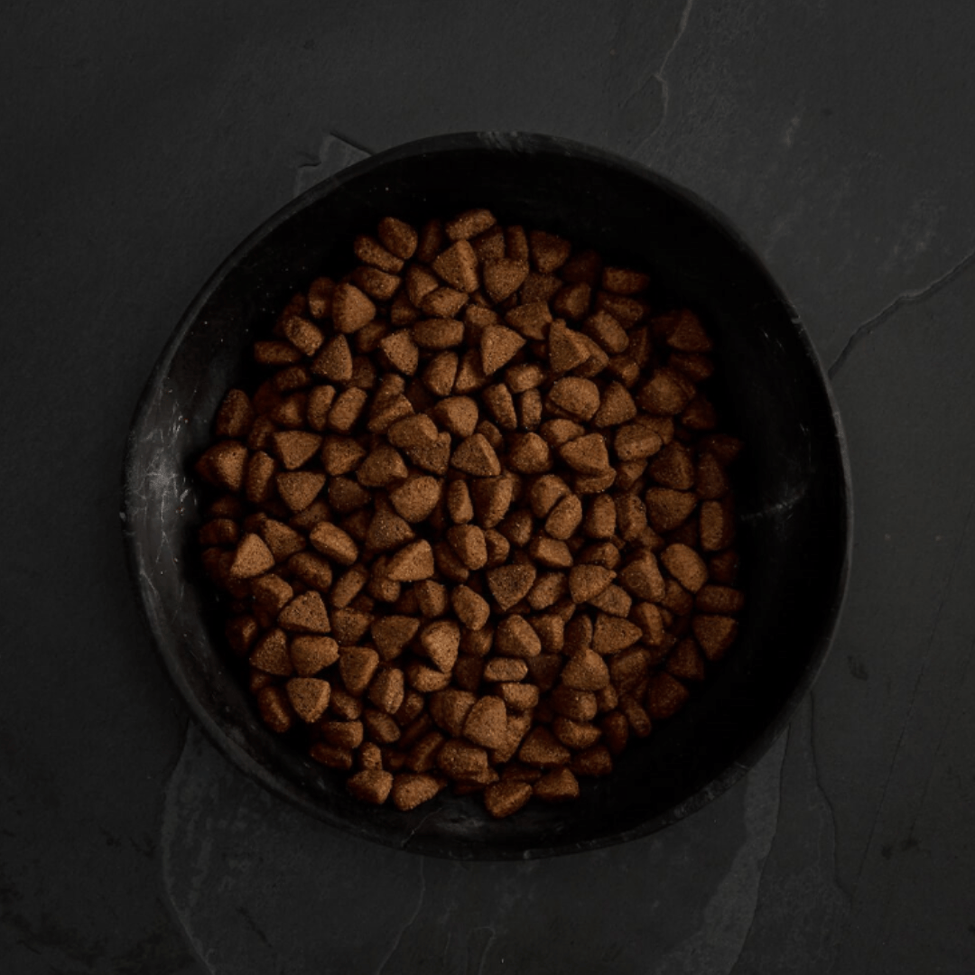 Canagan Free Range Chicken Dog Food