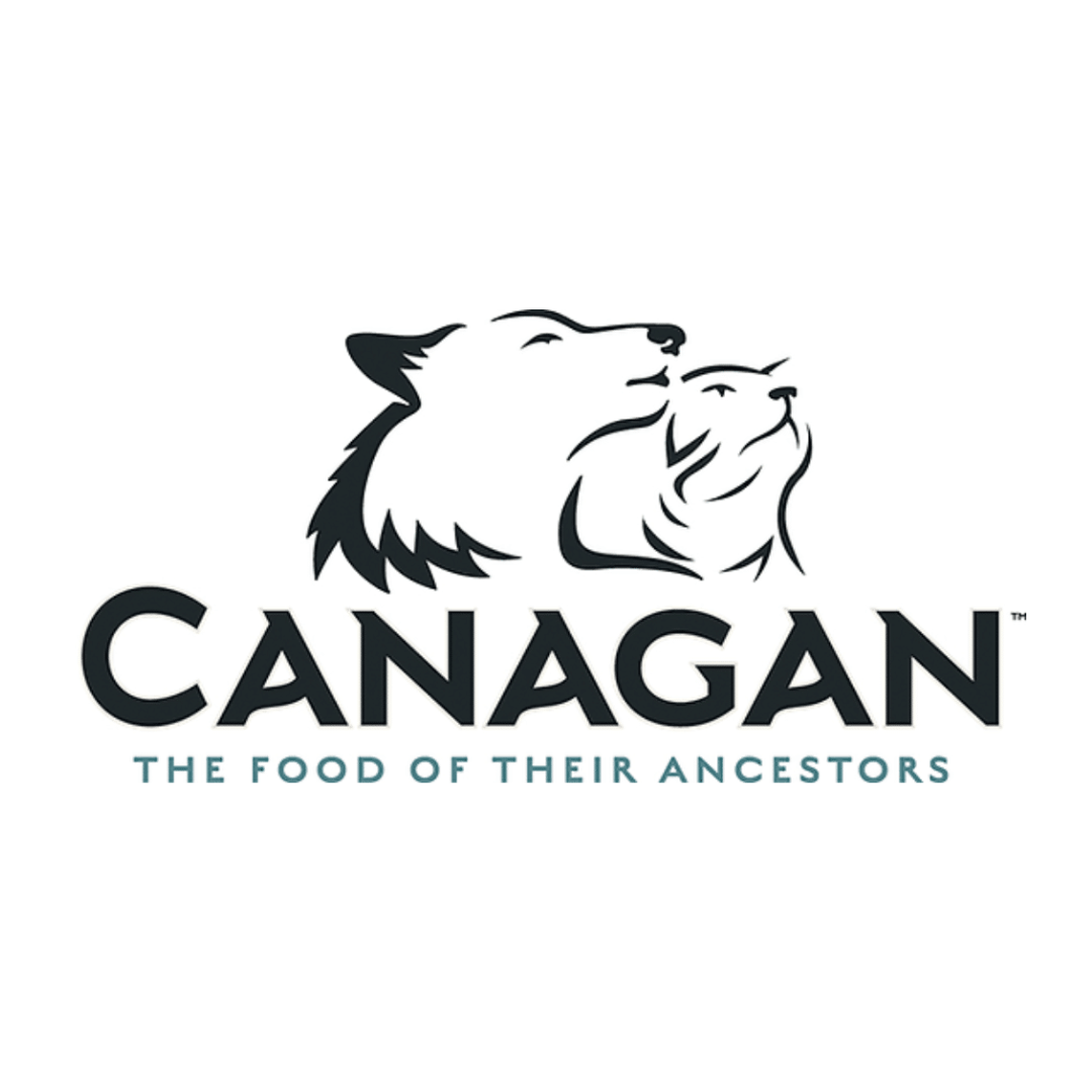 Canagan Chicken & Wild Boar Casserole Wet Food