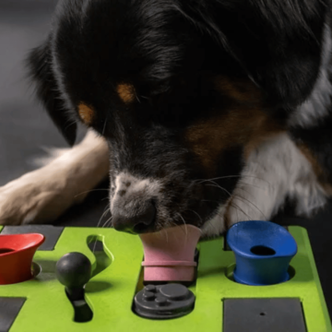 Puzzle Rectangle | Eat Slow Live Longer