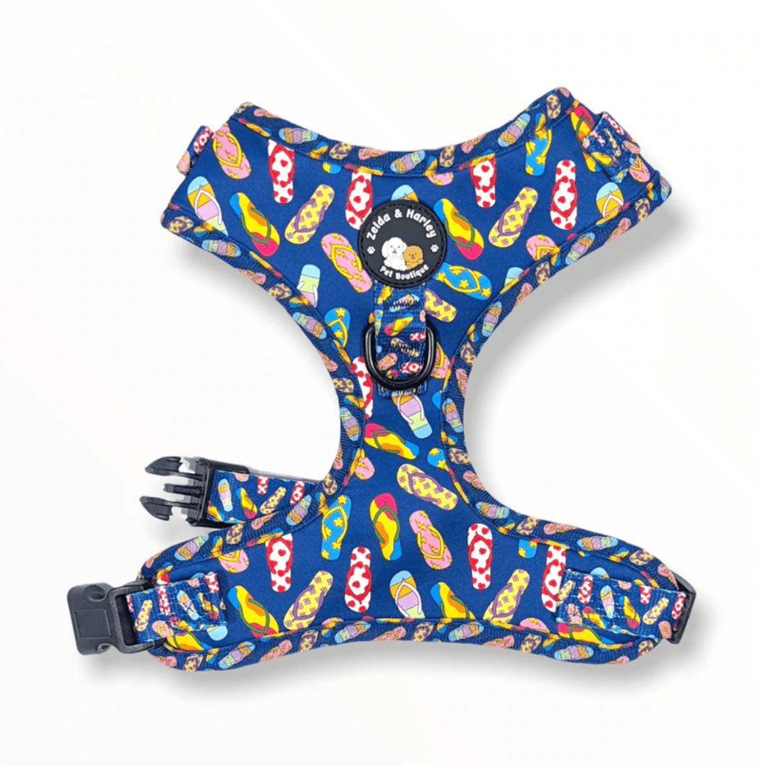 Zelda and Harley Blue Sole Mates Harness