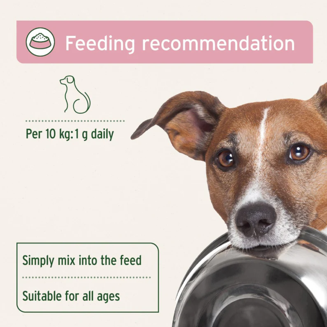 Feeding guidelines for the Aniforte Bladder Formula. There is a small dog with a bowl in his mouth in the picture.