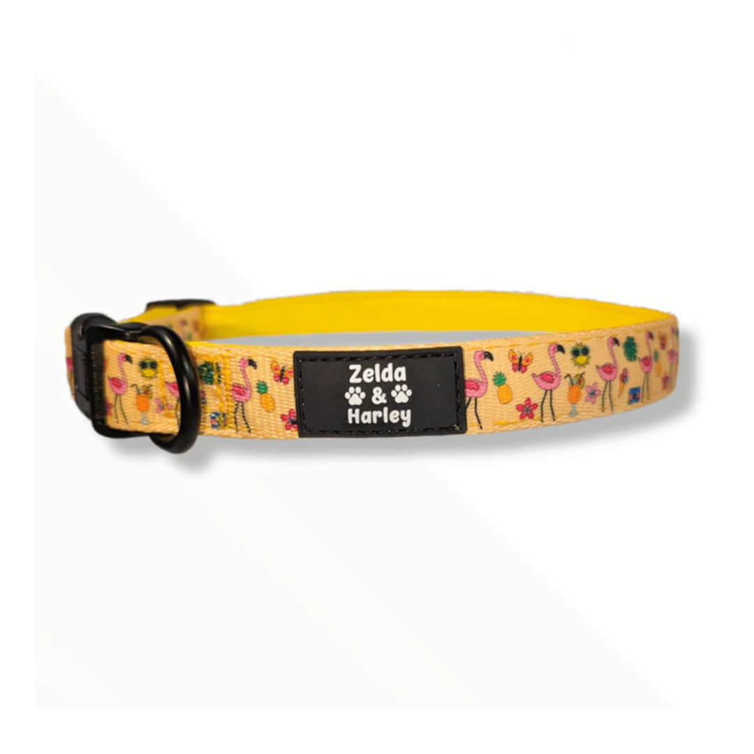 Zelda and Harley Yellow Pupicana Collar