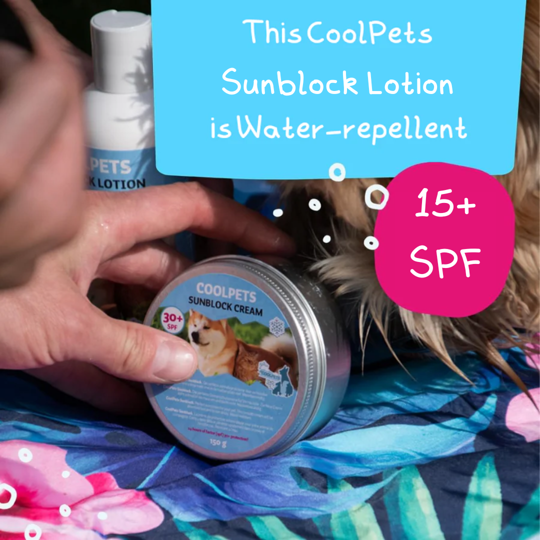 An image of the Sunscreen Lotion for Dogs 200ml and the Sunscreen Cream for Dogs 150g on a cooling mat. there is bubbles, a person and a dog in the image too. "This CoolPets Sunblock Lotion is Water-repellent" and "15+spf"