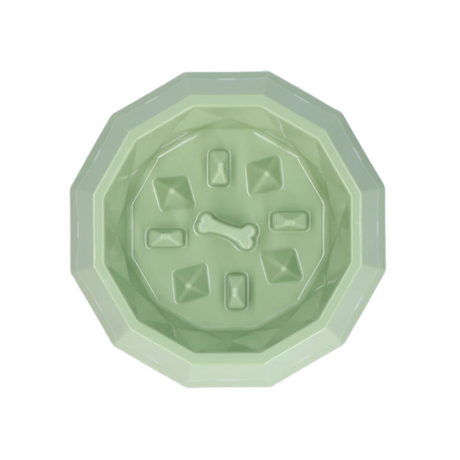 Pawise My Slow Feeding Bowl