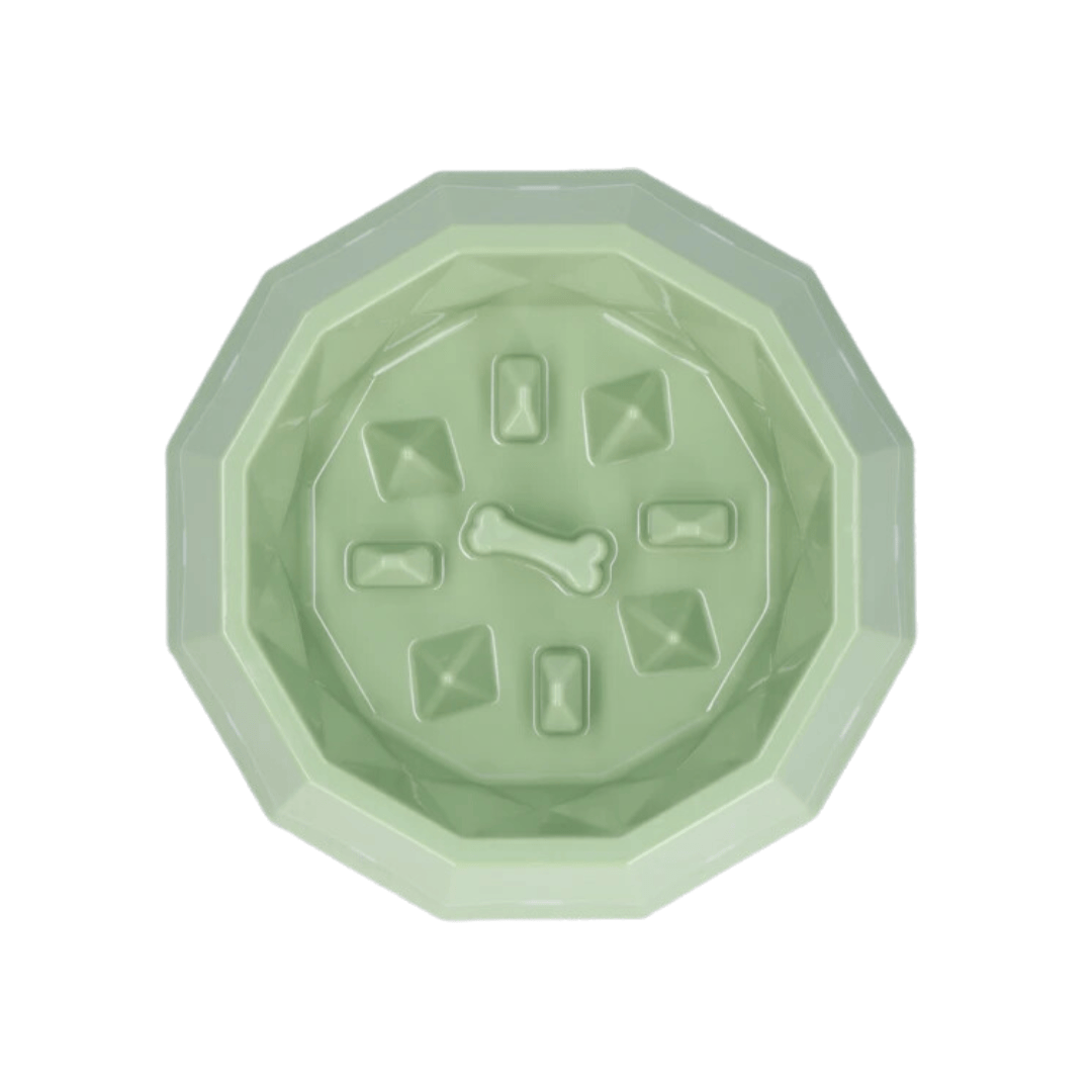 Pawise My Slow Feeding Bowl