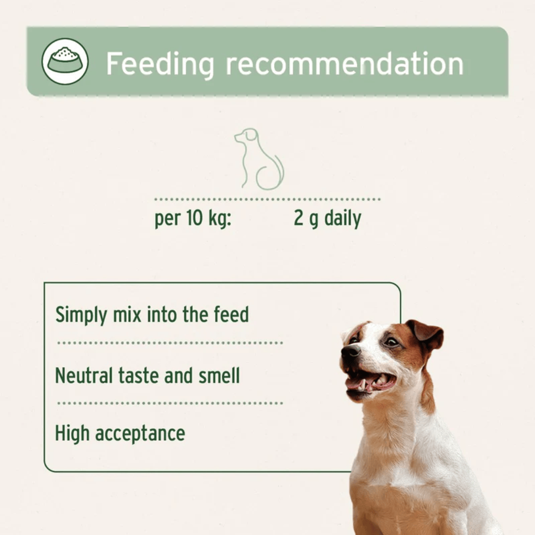 Feeding guidelines for Aniforte Collagen Powder. Listing some key benefits of the product too.