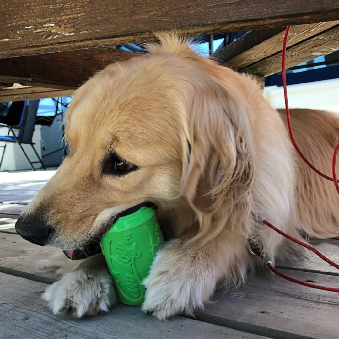 A dog chewing on the Sodapup Soda Can dog toy in large green.
