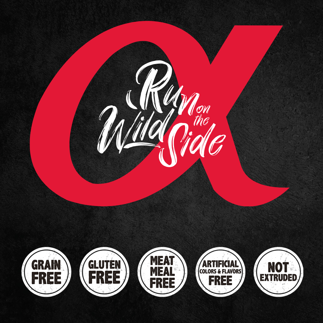 Image with the Alpha Spirit logo and phrase "Run on the Wild Side". Below some key benefits are listed of the Alpha Spirit stick dog treats.