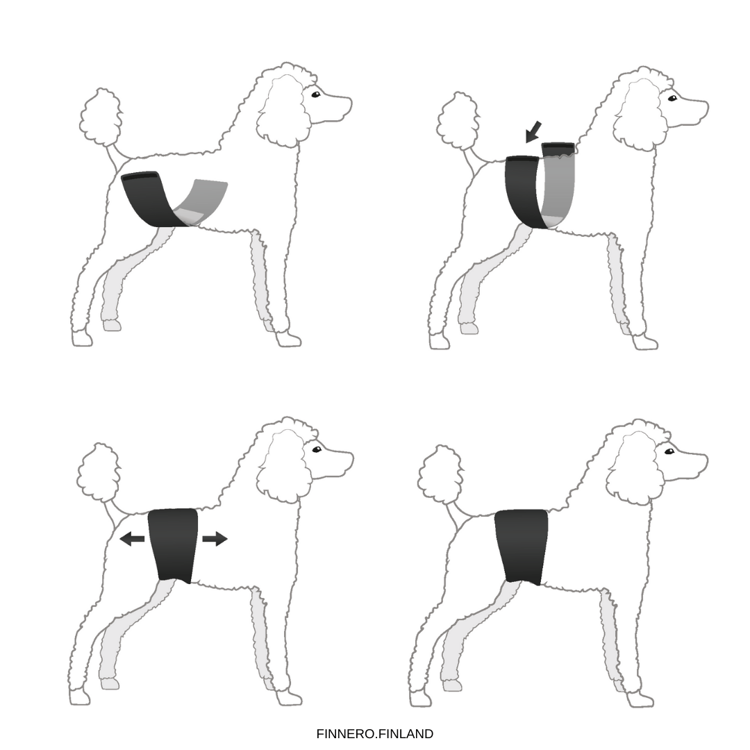 Finnero JustInCase Male Dog Belly Band