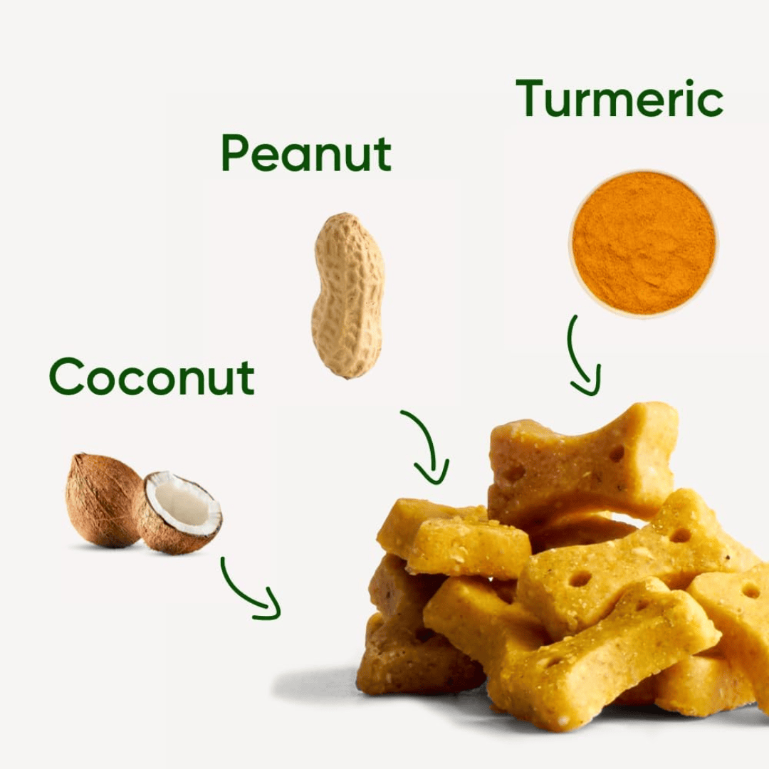 There are some Beco Peanut with Coconut & Turmeric Dog Treats loose on a white table. Surrounding these are photos of each ingredient - coconut, peanut and turmeric - and an arrow pointing towards the Dog biscuits.