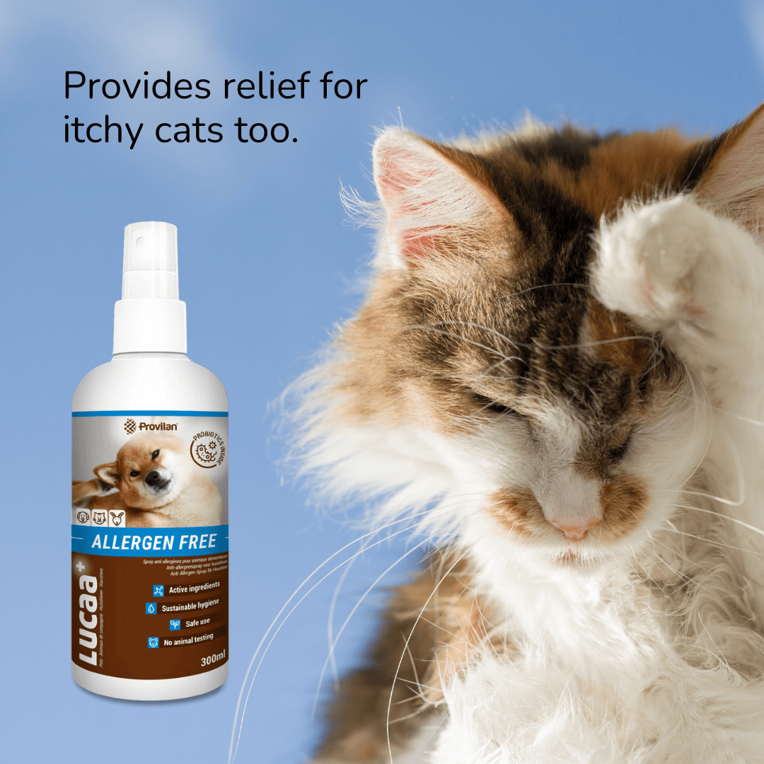 Probiotic Allergen Free Pet Spray | Provilan Lucaa+