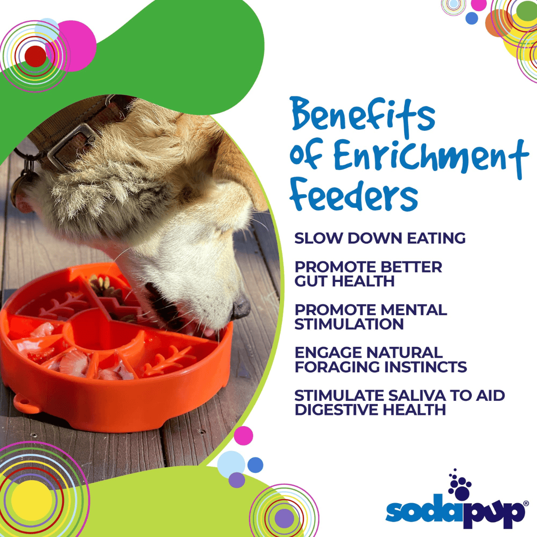 Some benefits of the Sodapup Great Outdoors Slow Feeding Bowl in orange.