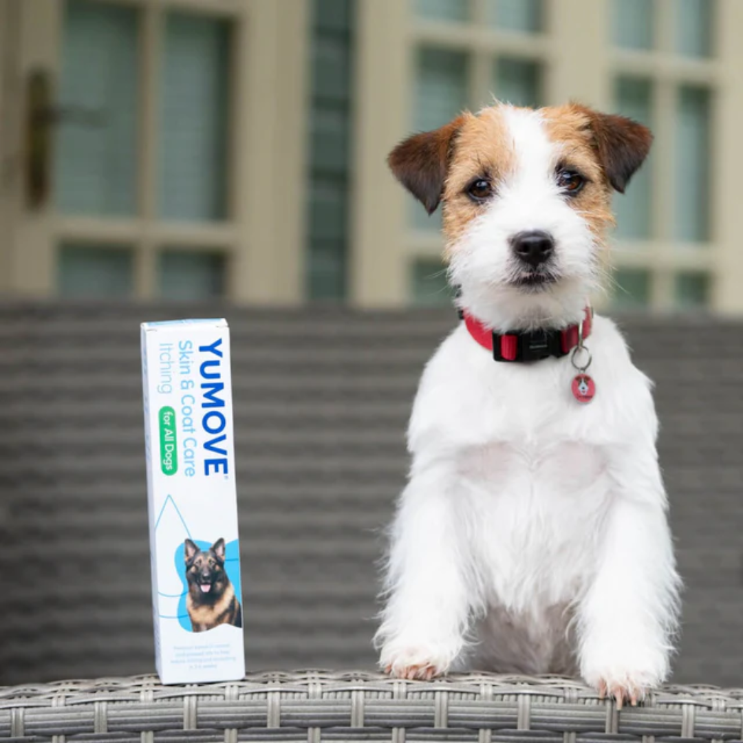 YuMove Skin & Coat Care - Itching