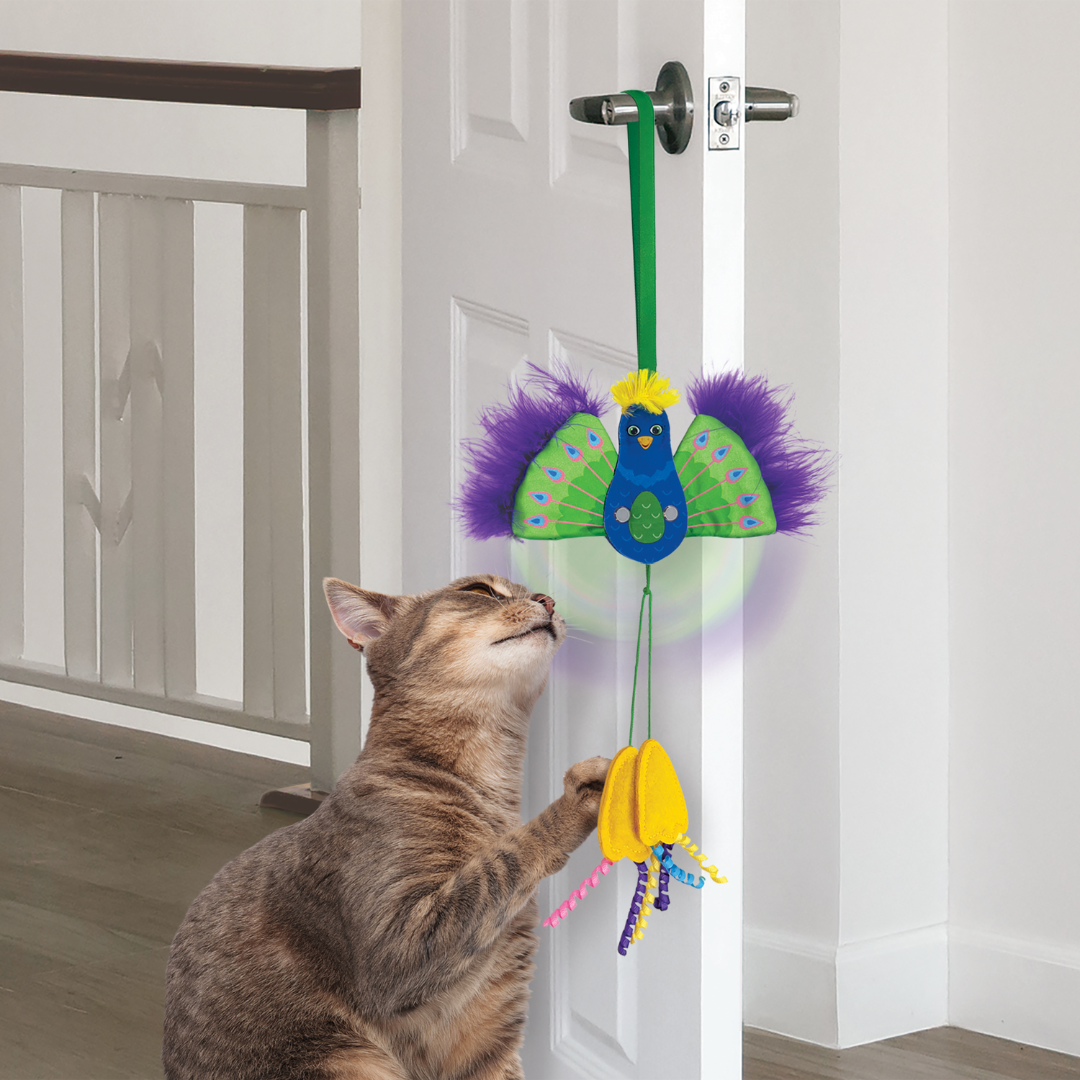 A cat playing with the Kong Connects Peacock Cat Toy as it hangs on the door. It has a mechanism that makes the wings flap if you pull on it's legs.