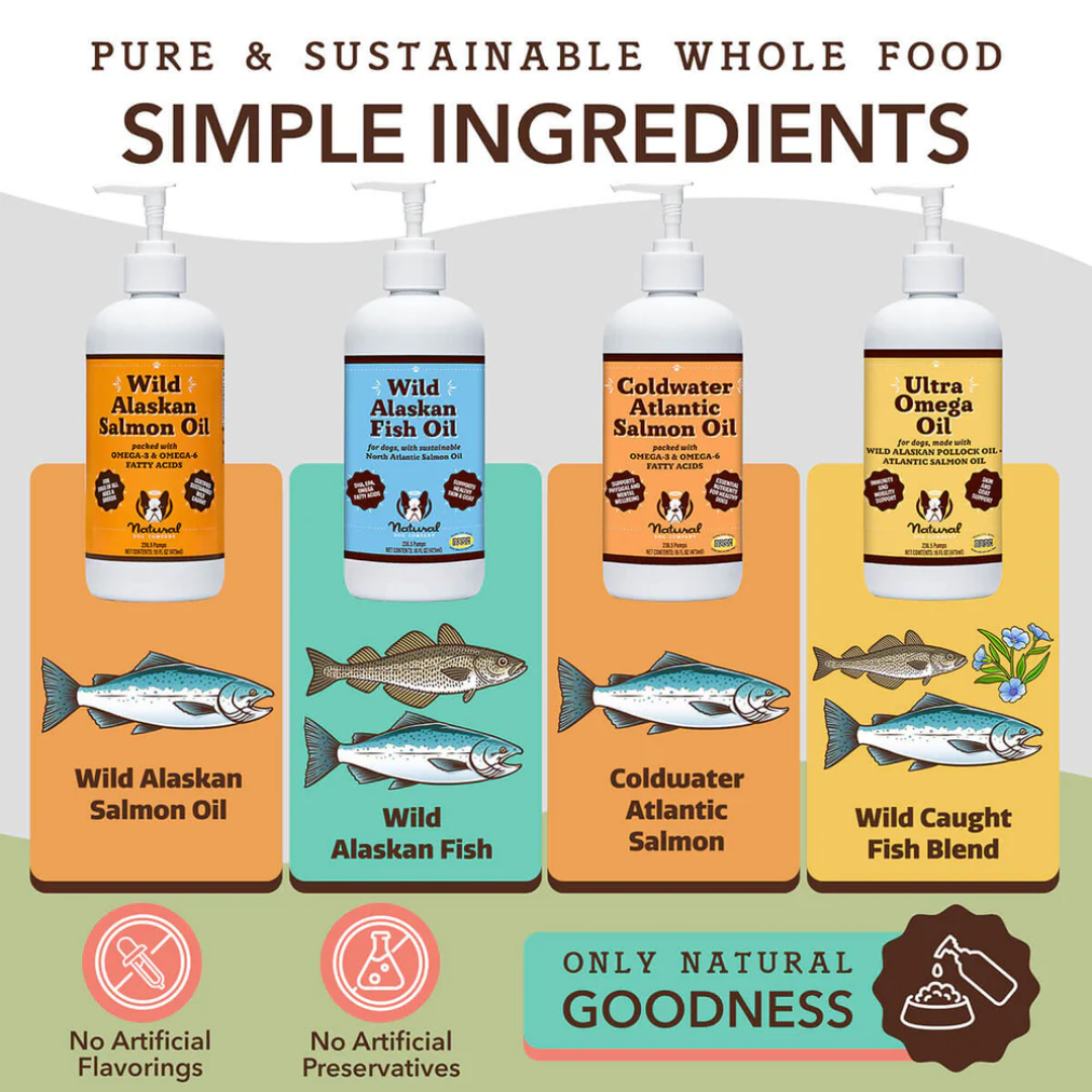 An infographic showing all the different fish oils they offer at the Natural Dog Company