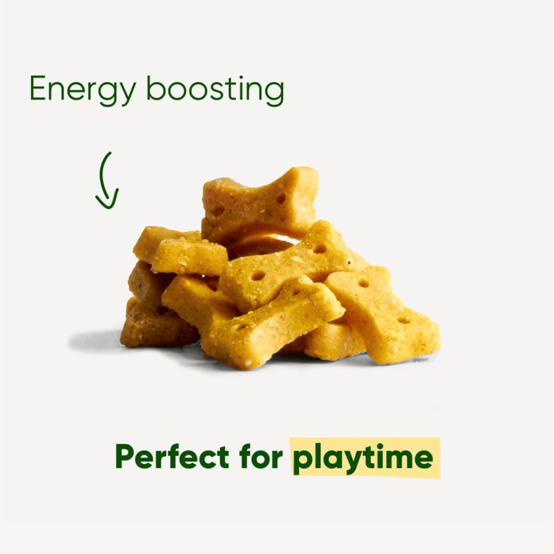 The Beco Peanut with Coconut & Turmeric Dog Treats loose on the table with some statements surrounding it including 'Energy Boosting' and 'Perfect for playtime'