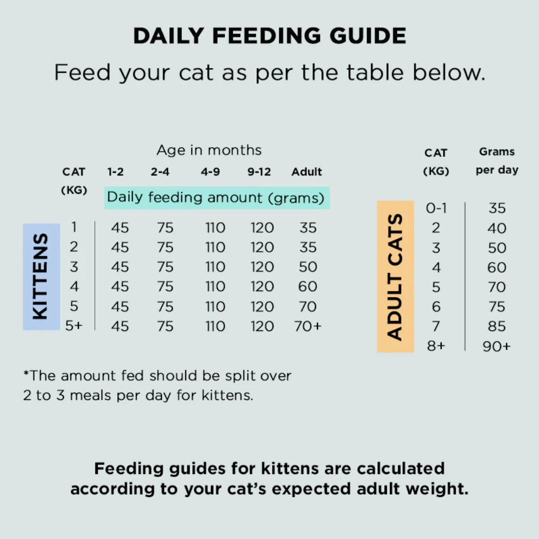 Innocent Cat Air Dried Duck & Venison Cat Food