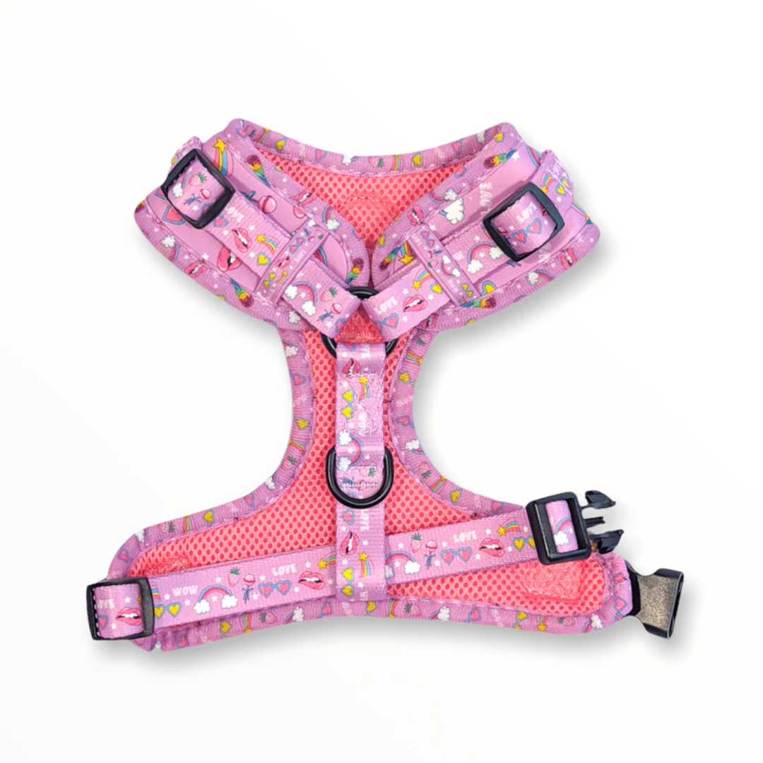 Zelda and Harley Pink Pawer Harness