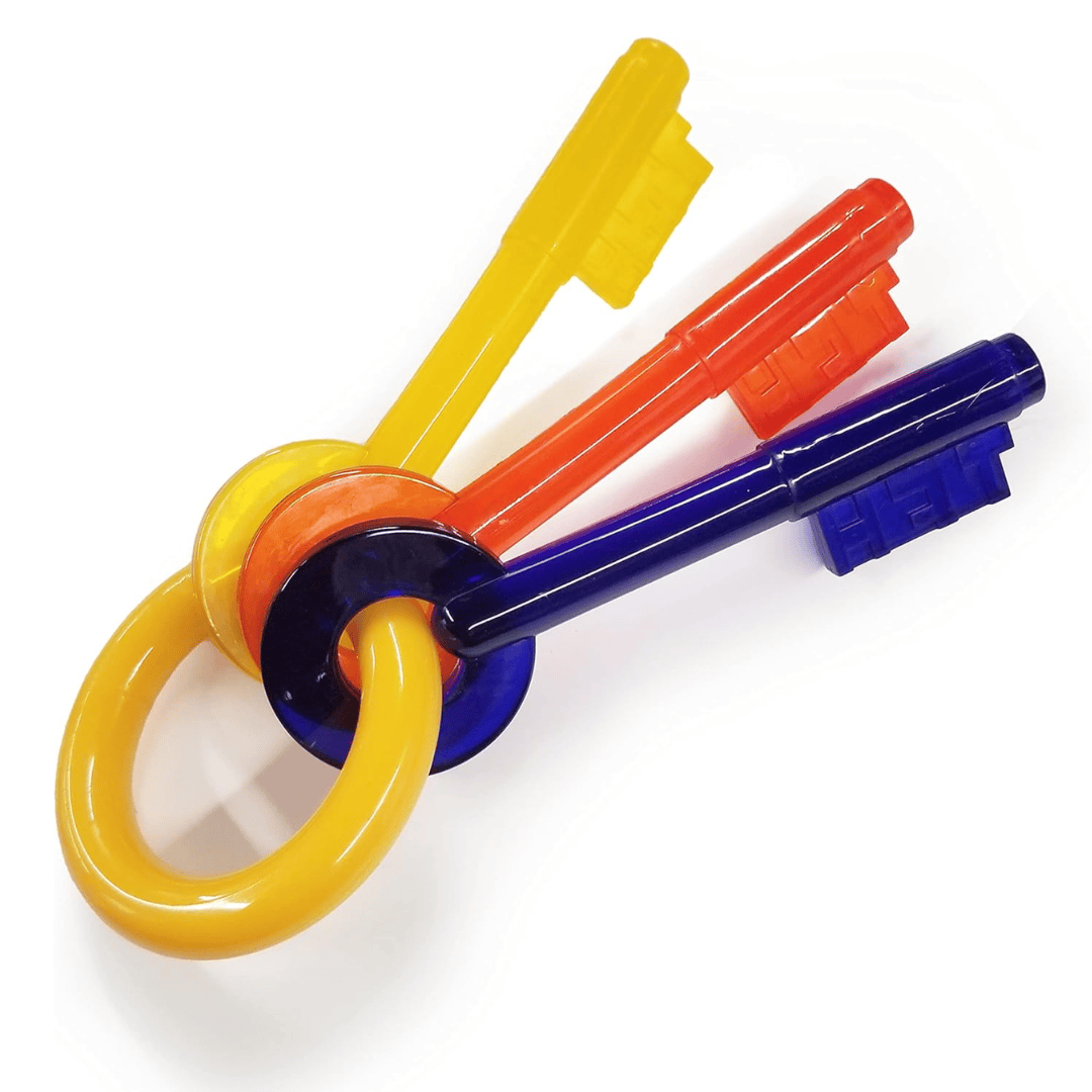 Nylabone Bacon Puppy Keys Chew