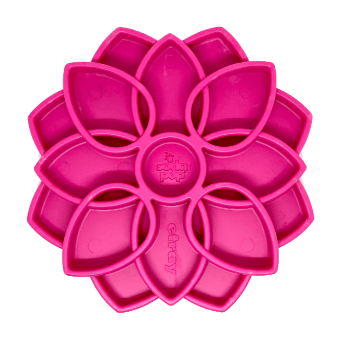 SodaPup Mandala Enrichment Tray