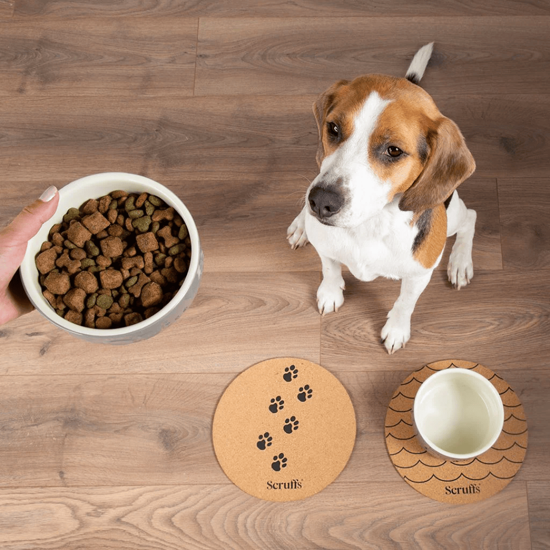 A beagle looking up at a hand holding a bowl of kibble, sitting in front of two Scruffs Cork Placemats for pets.
