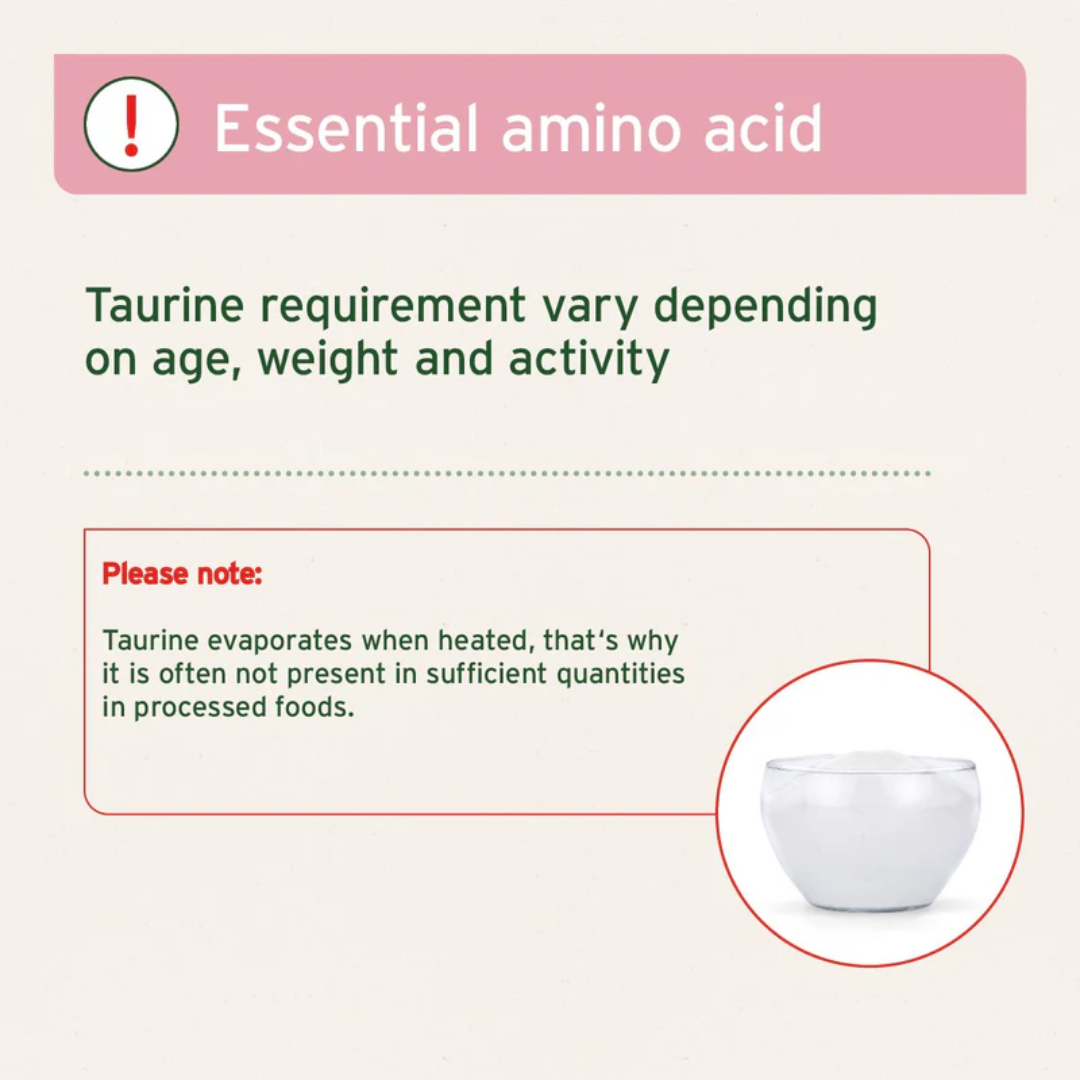 An important infographic from the aniforte website explaining it Taurine evaporates when heated. Aniforte Taurine Power for dogs is an essential amino acid