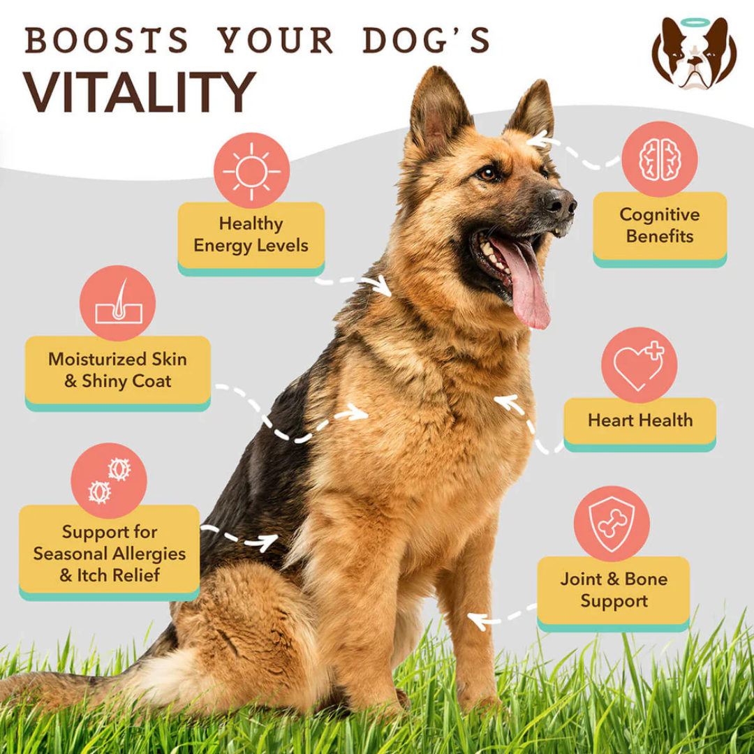 Some key benefits of using the Natural Dog Company Ultra Omega Oil
