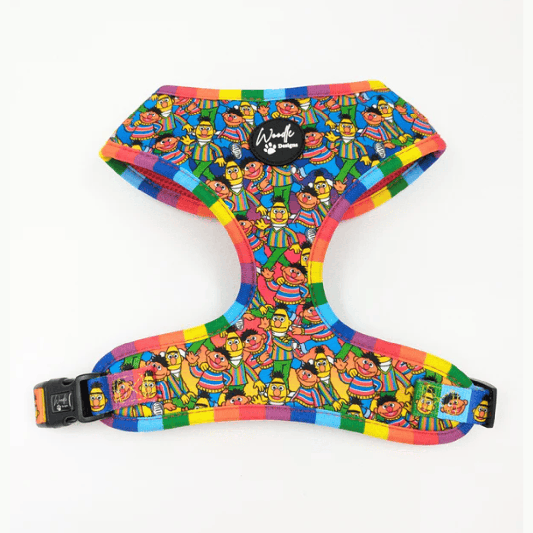 Woodle x Sesame Street Bert and Ernie harness for dogs.