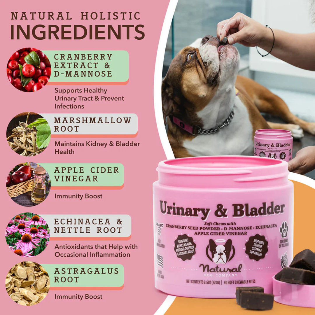 The ingredients of The Natural Dog Company Urinary and Bladder chews listed with its function. There is an open tub of the chews and an owner feeding their dog in the corner