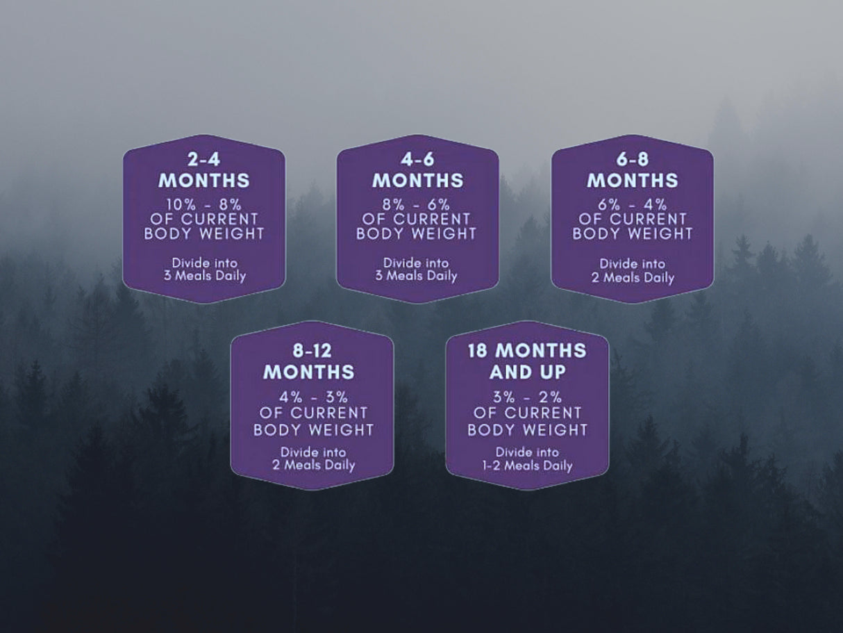 Raw Necessity Wild Venison and Duck 80:10:10 Complete 1kg
